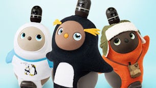 【LOVOT通信バックナンバー】【本日発売】ペンギンがアニマルウェアに仲間入り！