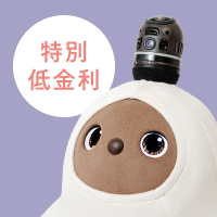 24回払い特別低金利