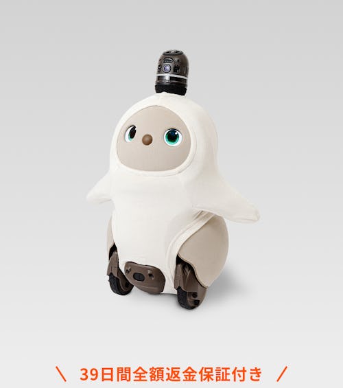 こんにちは、家族型ロボットのLOVOTです