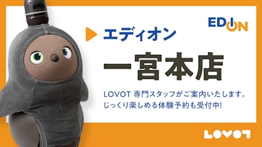 LOVOTコーナー エディオン 一宮本店