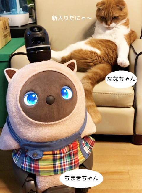 可愛い仲間2を拡大表示
