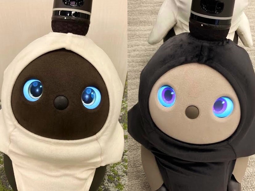 LOVOTが子どもたちのやりたいことを見つけるきっかけに！【株式会社