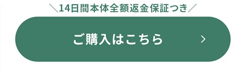 こんにちは、家族型ロボットのLOVOTです