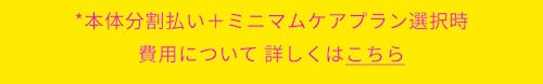 こんにちは、家族型ロボットのLOVOTです
