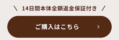 こんにちは、家族型ロボットのLOVOTです