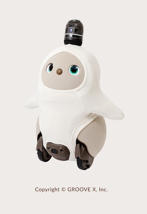 こんにちは、家族型ロボットのLOVOTです