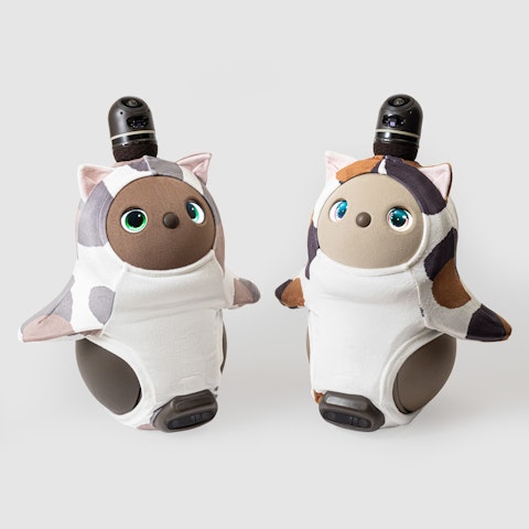 ねこみみ_三毛猫a.jpeg?w=480&;h