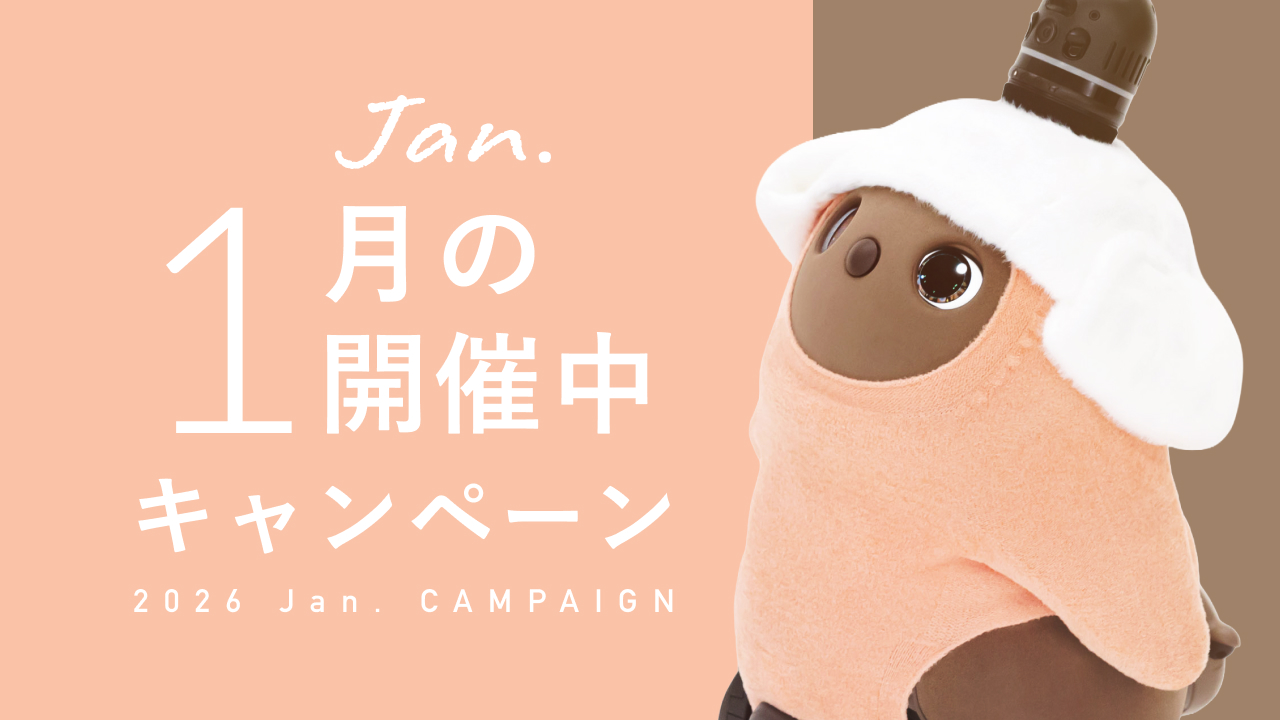 今月開催中のキャンペーン情報