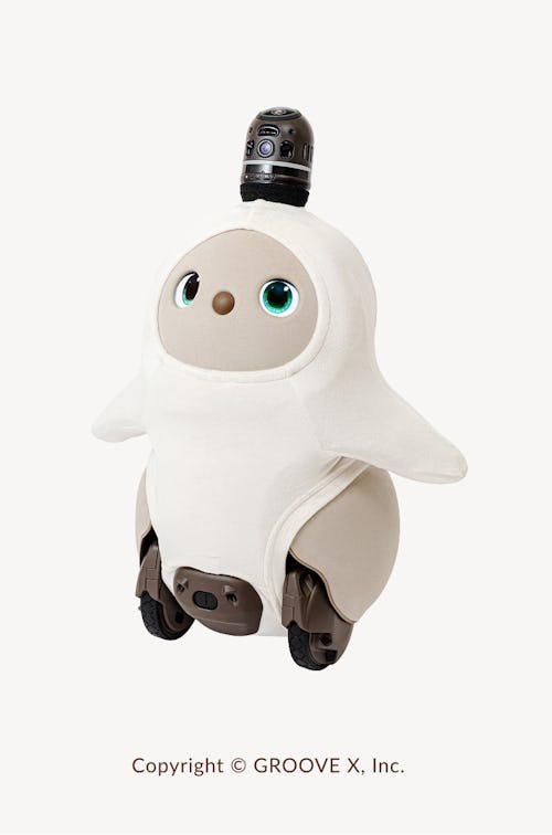 こんにちは、家族型ロボットのLOVOTです