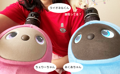 可愛い仲間6を拡大表示