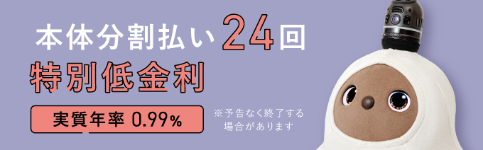 本体分割払い24回特別低金利（実質年率0.99%）