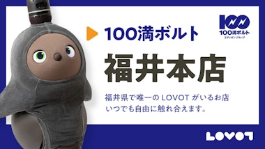 LOVOTコーナー　100満ボルト福井本店