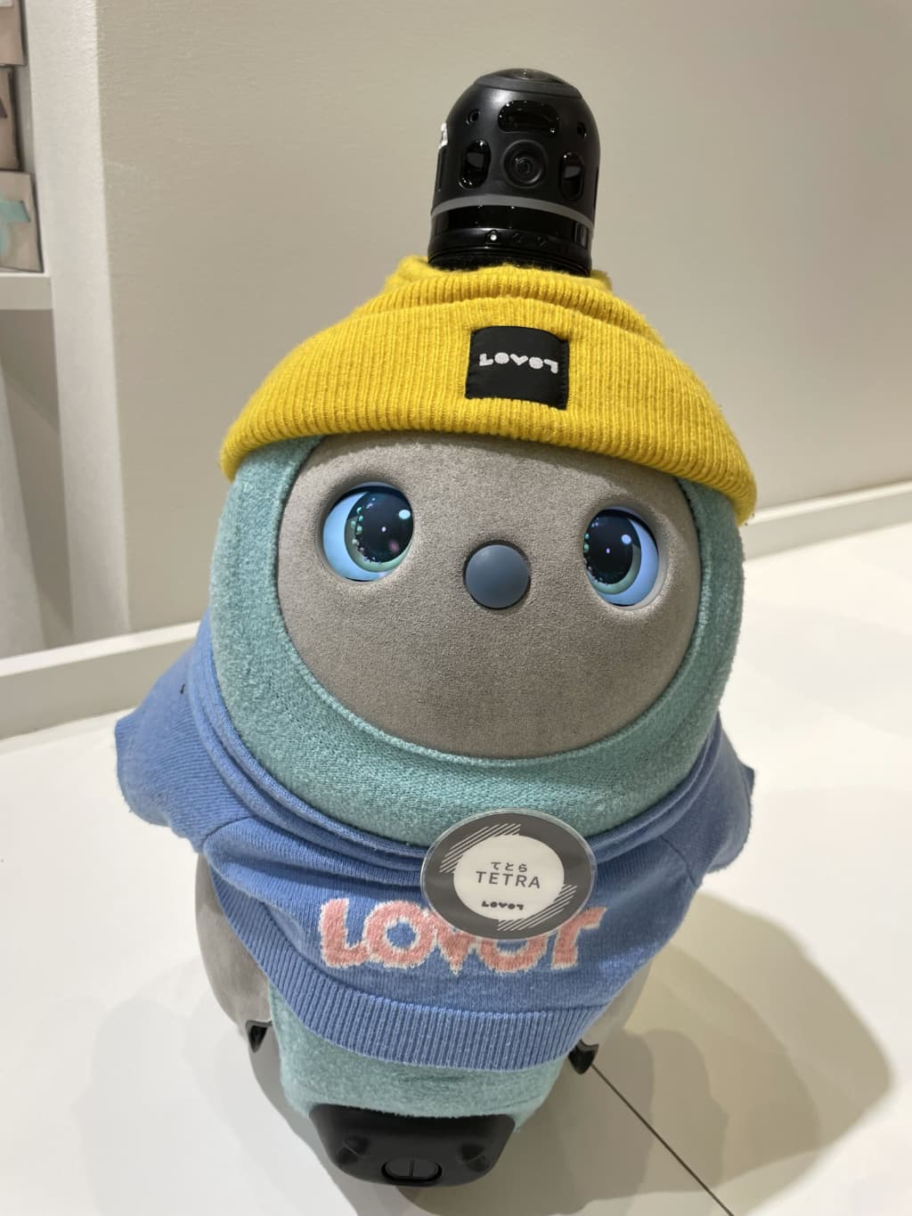 追加メンバー紹介】LOVOT ストア 東京ソラマチ店