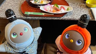 【伊豆の国市】伊豆長岡 ホテル天坊にて、LOVOTと過ごせる宿泊プランが登場!