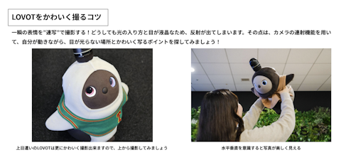 LOVOTをかわいく撮影するためのTips公開中！