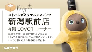 【ヨドバシカメラルチメディア新潟】ふれあいはLOVOTを独り占めできるご予約がおススメ!