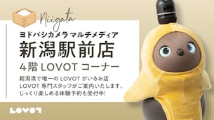 【ヨドバシカメラルチメディア新潟】ふれあいはLOVOTを独り占めできるご予約がおススメ！