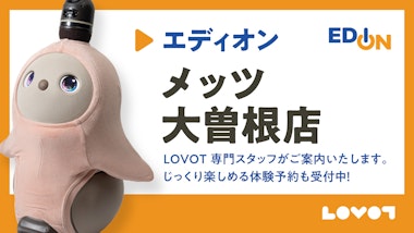 LOVOTコーナー　　エディオンメッツ大曽根店