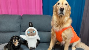 ◇ LOVOTストア ジェイアール名古屋タカシマヤ ◇~LOVOTとの暮らしを始めました🏘~