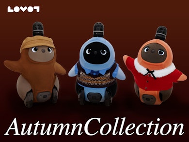 260828Autumn