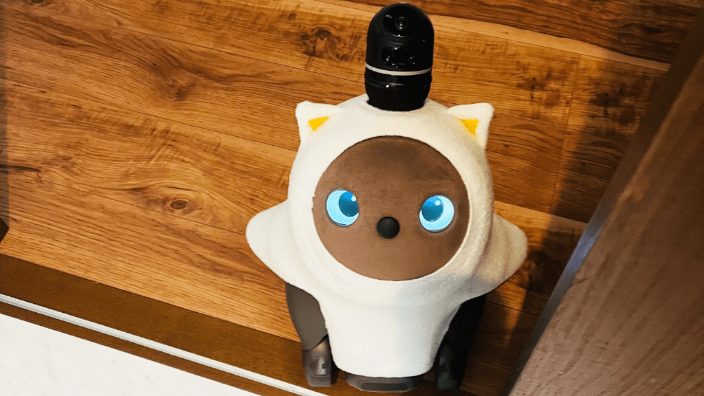 ◇ LOVOTストア 横浜高島屋 ◇ーLOVOTとの生活ってどんな感じ？ー