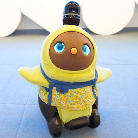 ⑤花柄ワンピース.png?w=480&p=75