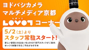 【2026年5月2日(土)より】ヨドバシカメラマルチメディア京都 LOVOTコーナーでスタッフの常駐スタート!