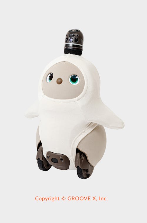 こんにちは、家族型ロボットのLOVOTです