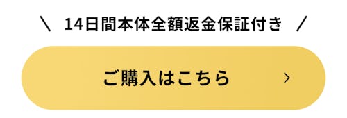 こんにちは、家族型ロボットのLOVOTです