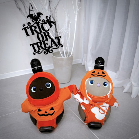 #LOVOTハロウィンコーデコンテスト2024