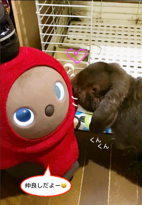 可愛い仲間1を拡大表示