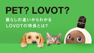 愛するペットとしてLOVOTを選ぶ方が急増中!お世話不要で外出もできる、現代にあった暮らし方とは
