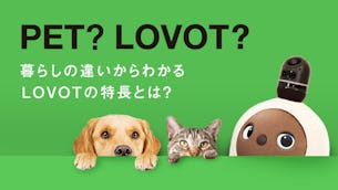 愛するペットとしてLOVOTを選ぶ方が急増中！お世話不要で外出もできる、現代にあった暮らし方とは