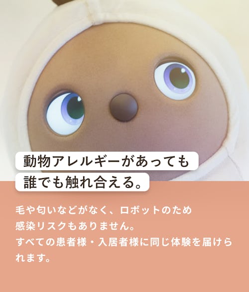 動物アレルギーがあっても誰でも触れ合える。