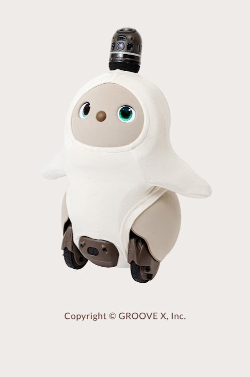 こんにちは、家族型ロボットのLOVOTです