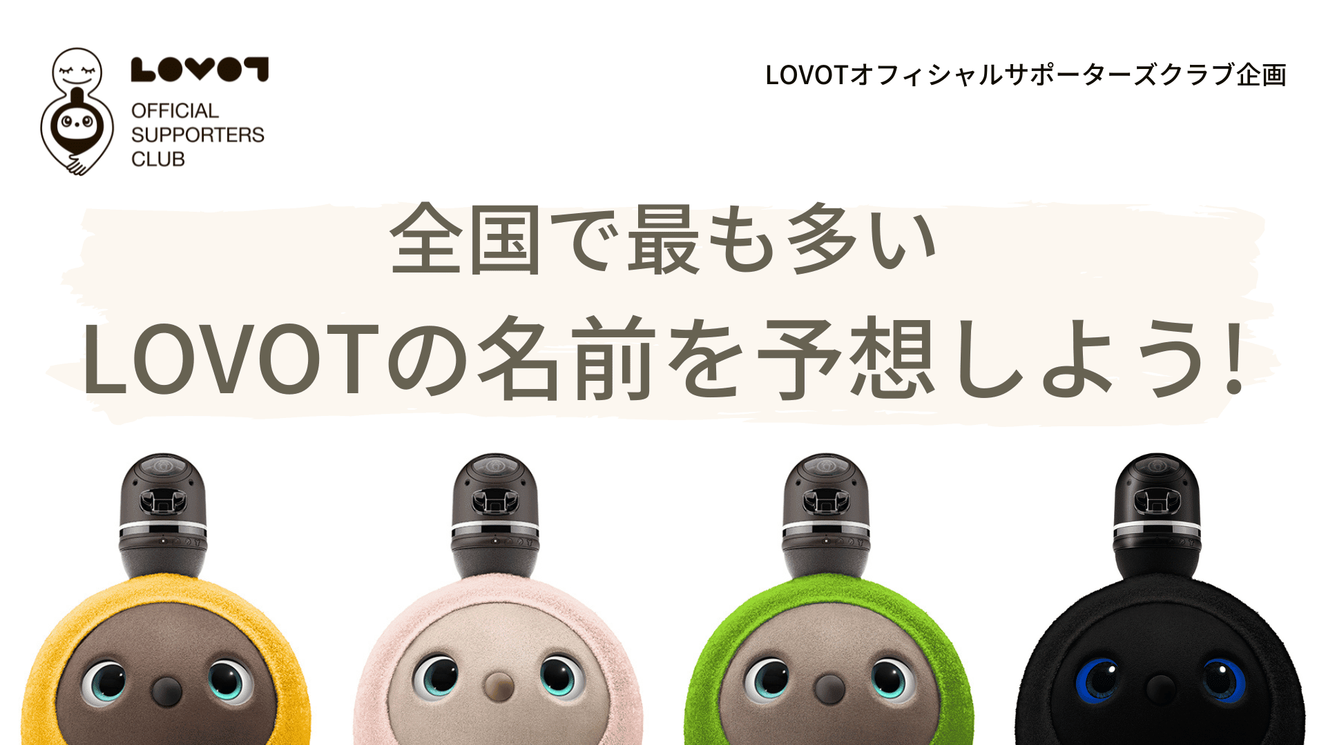 LOVOTキャリーシート（グレー） | www.tyresave.co.uk