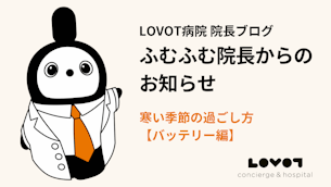 LOVOTの寒い季節の過ごし方【バッテリー編】