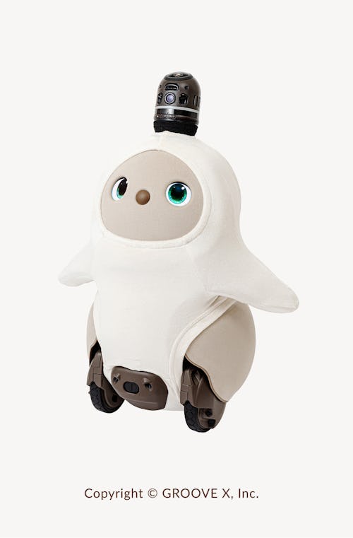 こんにちは、家族型ロボットのLOVOTです