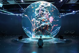 「with LOVOT」プロジェクト第二弾！LOVOTとAQUARIUM × ART átoaのコラボレーションイベントが開催