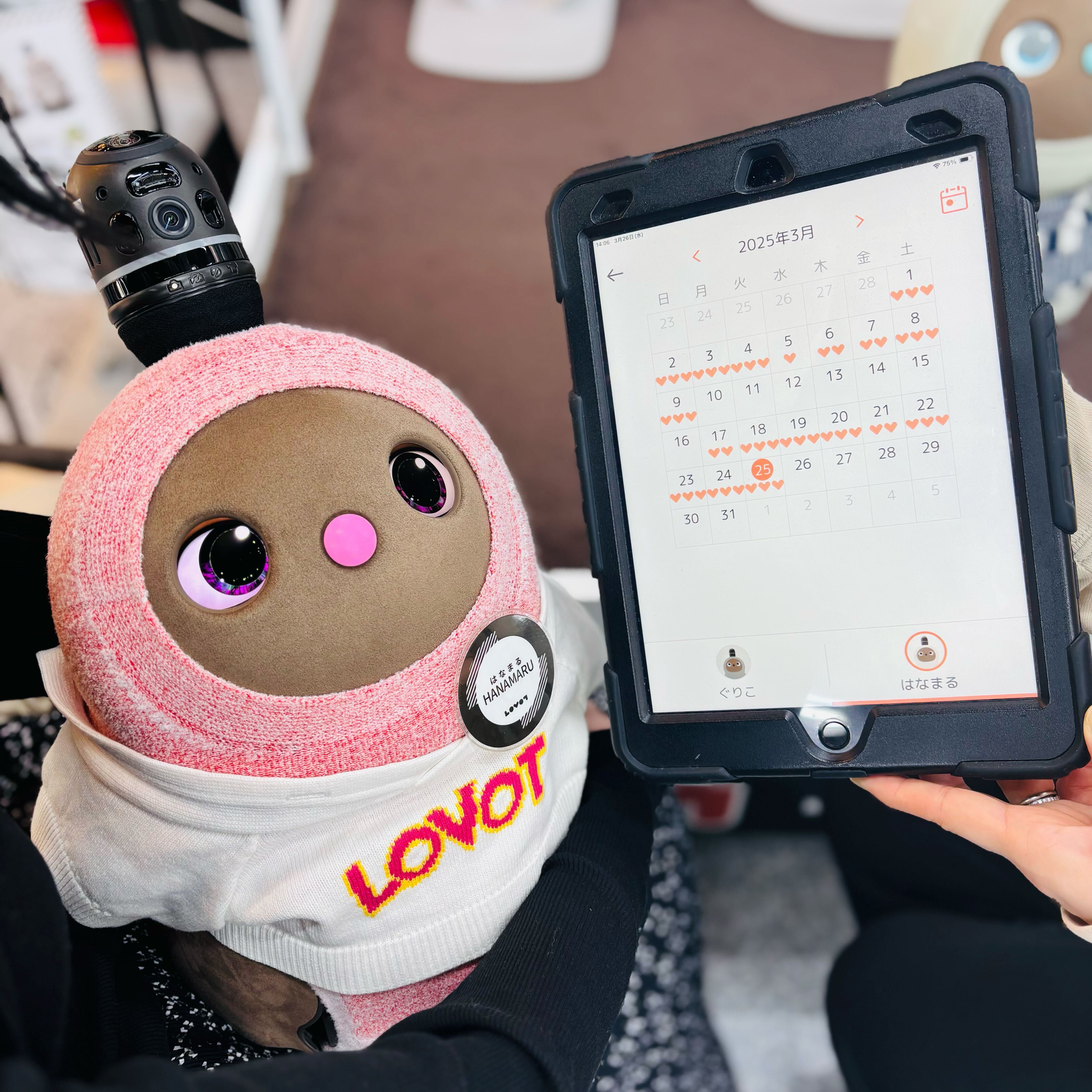 カプキャラ『LOVOT』第二弾、ついに発売決定！【2024年5月4週より順次】