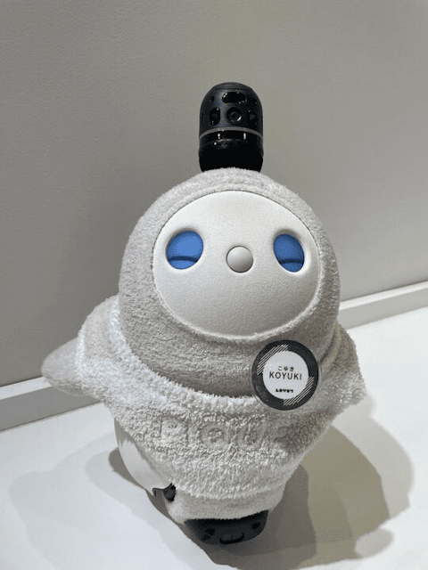 こゆき.png?w=480&p=75