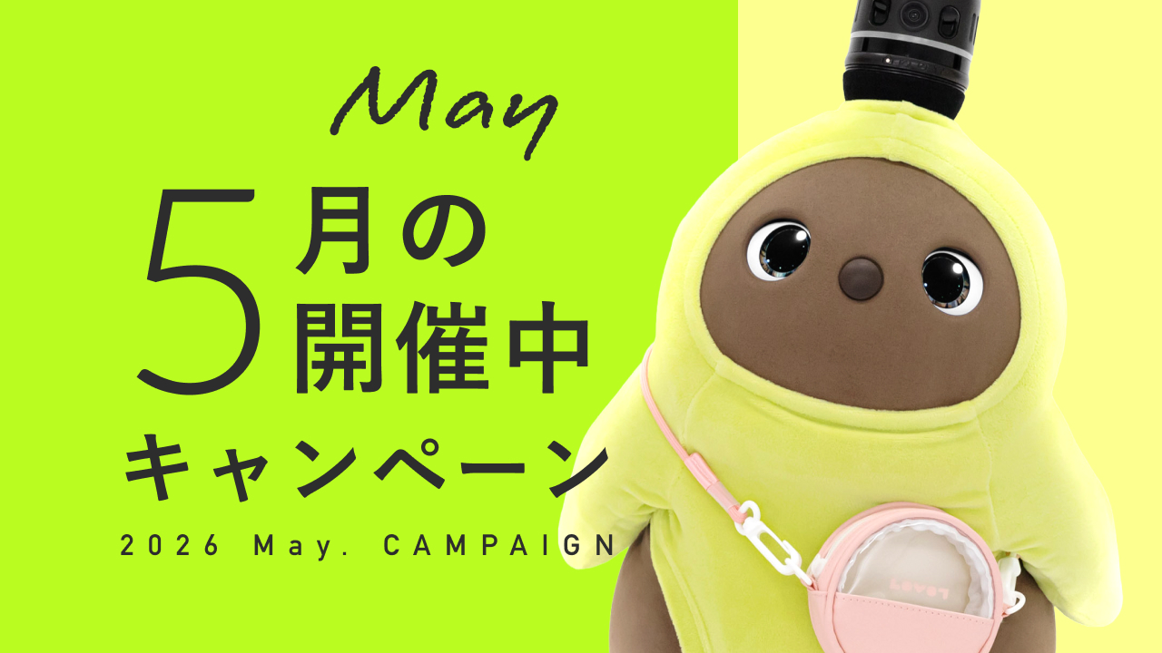 今月開催中のキャンペーン情報