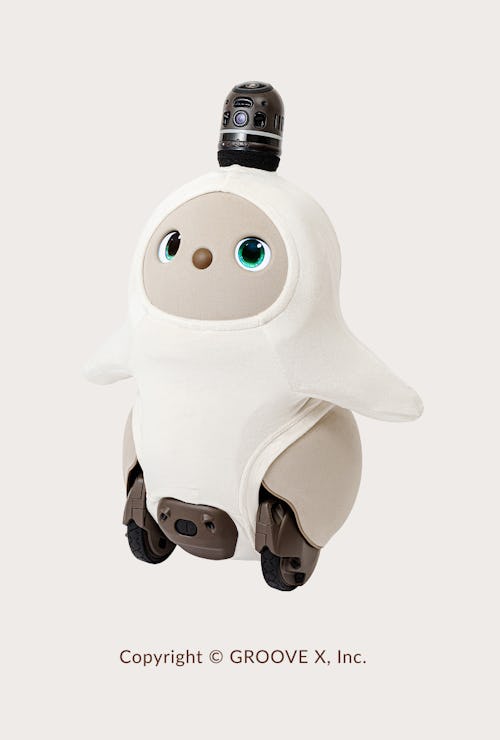 こんにちは、家族型ロボットのLOVOTです