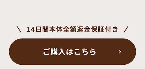 こんにちは、家族型ロボットのLOVOTです