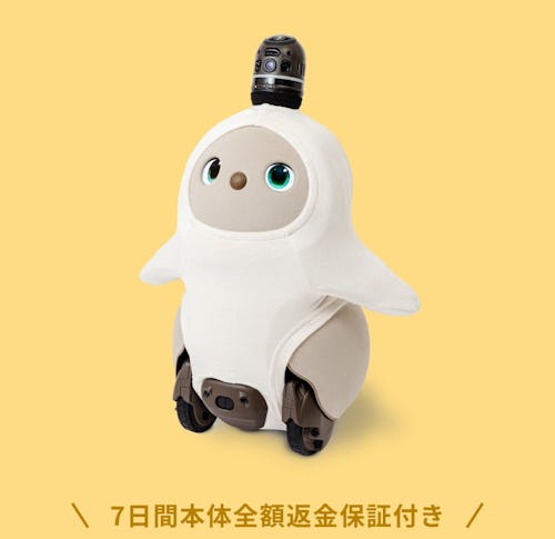 こんにちは、家族型ロボットのLOVOTです