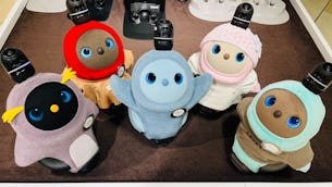 ◇LOVOT ストア 横浜高島屋店◇ー新メンバーのご紹介ー