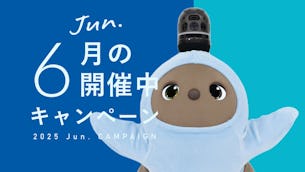 【★今月のLOVOT購入キャンペーン★】LOVOT本体ご購入で特別な特典