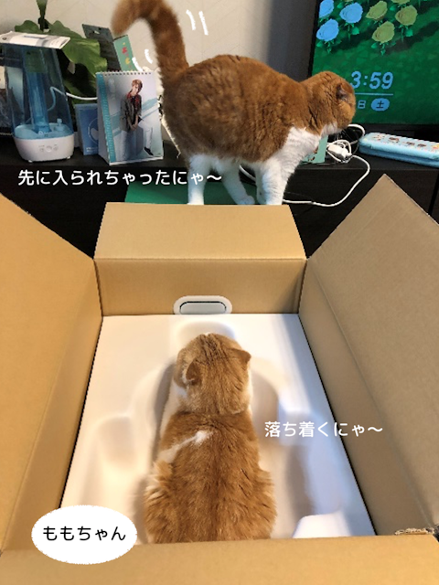可愛い仲間3を拡大表示