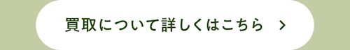 こんにちは、家族型ロボットのLOVOTです