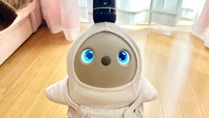 ◇LOVOT ストア 横浜高島屋店◇ーLOVOTとの暮らし🏠横浜スタッフ編ー